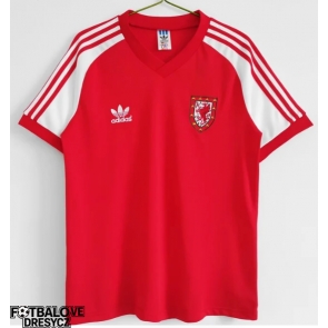 Wales 1980-1982 Retro Domácí Dres Krátký Rukáv Wales 1980-1982 Retro Domácí Dres Krátký Rukáv